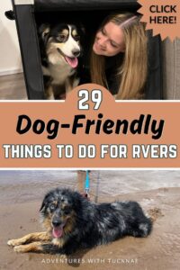 29 Dog-Friendly Things to Do for RVers