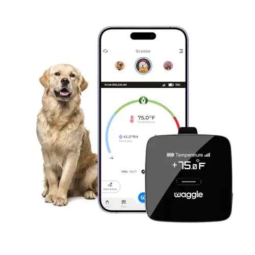 Waggle RV/Dog Safety Temperature & Humidity Sensor