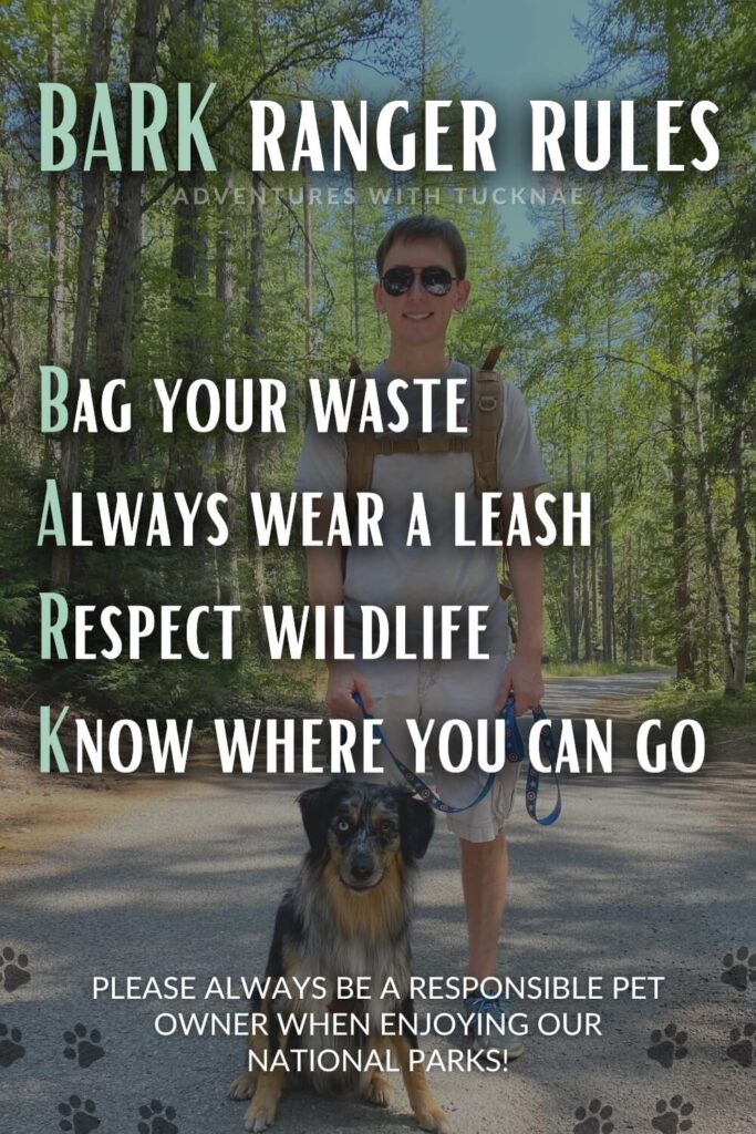 A man stands on a forested path with a blue merle mini Aussie, Cap, on a leash. Text overlay reads: "BARK Ranger Rules: Bag your waste, Always wear a leash, Respect wildlife, Know where you can go. Please always be a responsible pet owner when enjoying our national parks!"