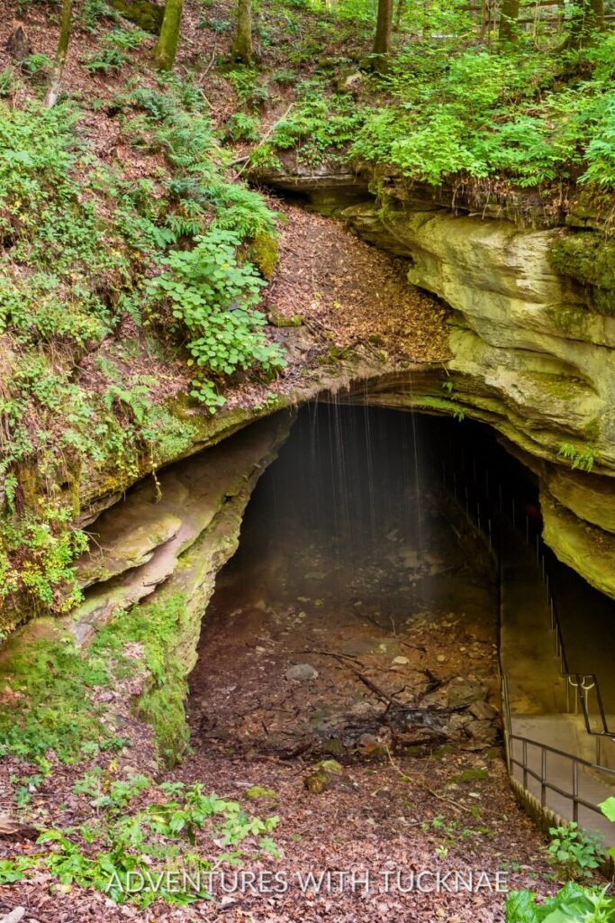 The entrance to a cave surrounded by lush greenery at Mammoth Cave National Park.