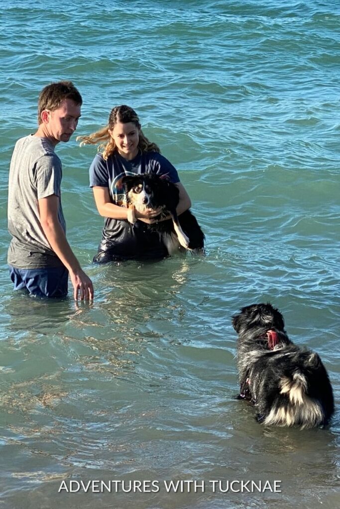 Tucker and Janae hold Marvel in the ocean while Cap paddles nearby, all enjoying a day at the beach.