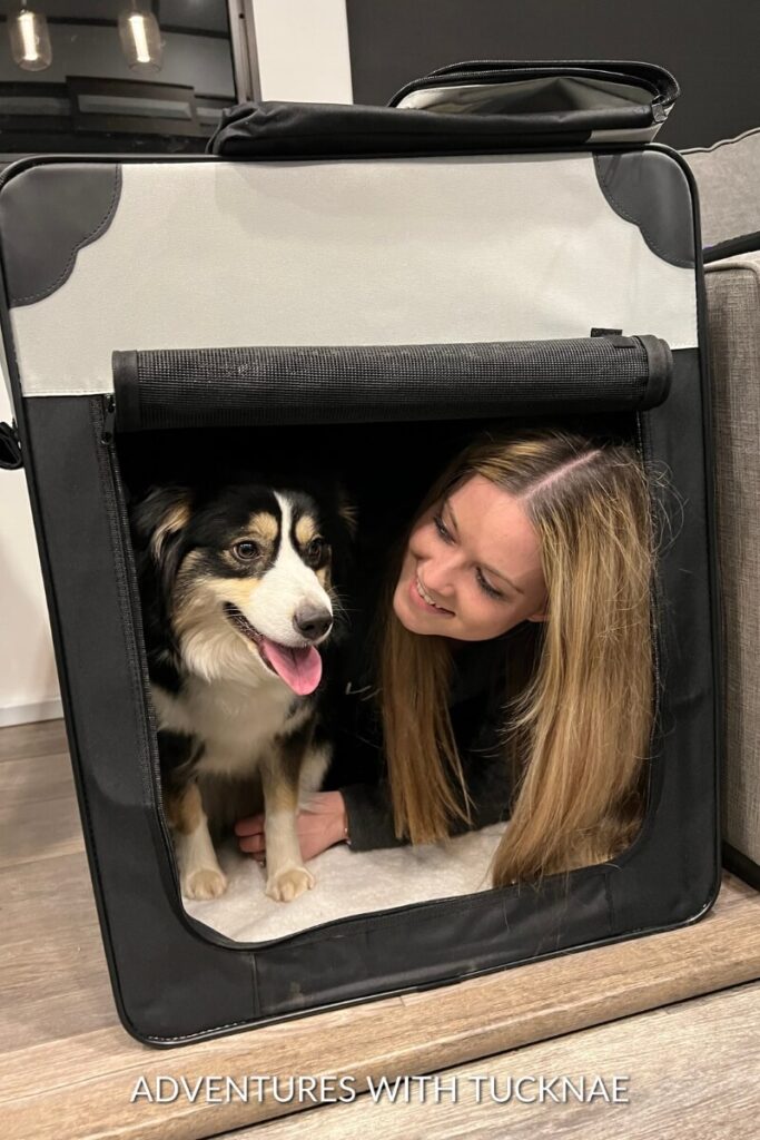 Janae and Marvel peek out from a cozy pet crate, both smiling and looking content inside an RV.