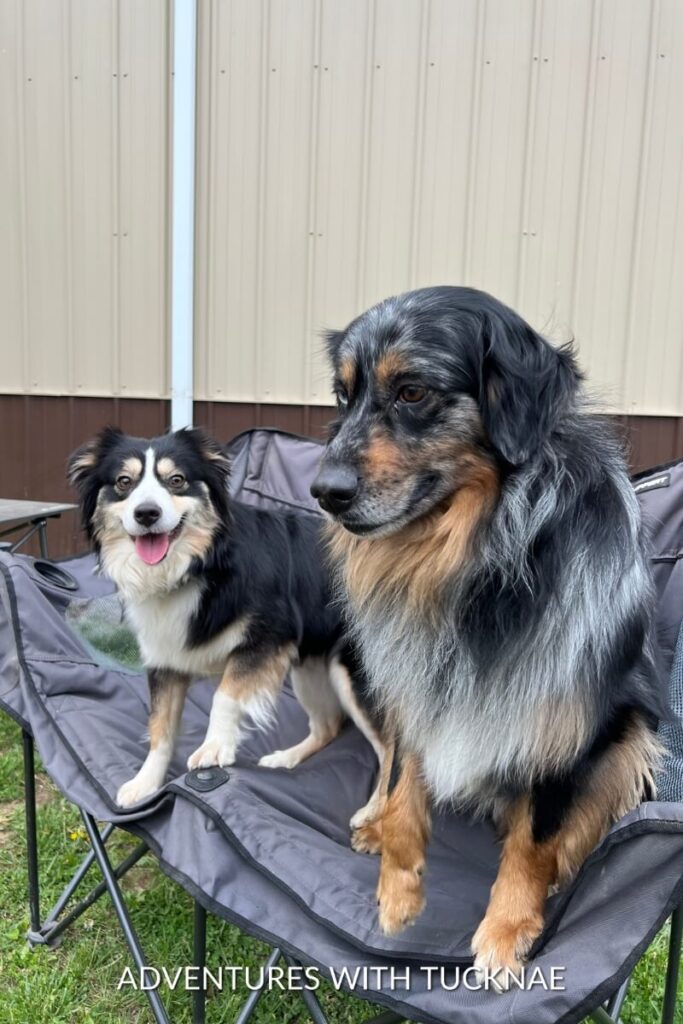 Marvel and Cap sit on camping chairs outside an RV, with Marvel looking directly at the camera and Cap looking off to the side.