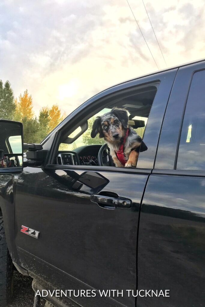 Cap looks out the driver's side window of a black truck, as if ready to drive.