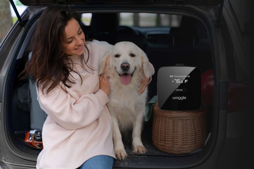 This image shows a woman sitting in the back of an open SUV, smiling and petting a Golden Retriever. Next to them is a device displaying a temperature of +15.0°F and the brand name "Waggle" on its screen. The scene suggests a cozy and secure environment for pets, with the Waggle device monitoring the temperature inside the vehicle.