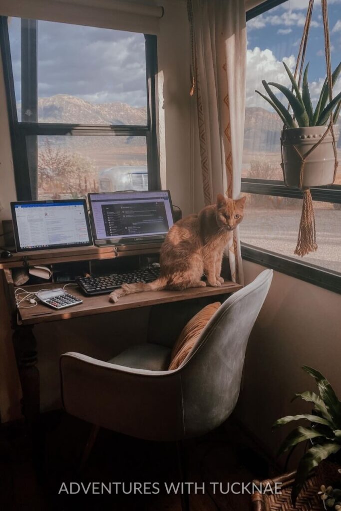 An RV office setup with a wooden desk featuring two laptops, a keyboard, and a cat sitting next to the keyboard. The window offers a scenic view of mountains, and a hanging plant adds a touch of greenery. This cozy RV office idea combines work and comfort, ideal for pet owners.