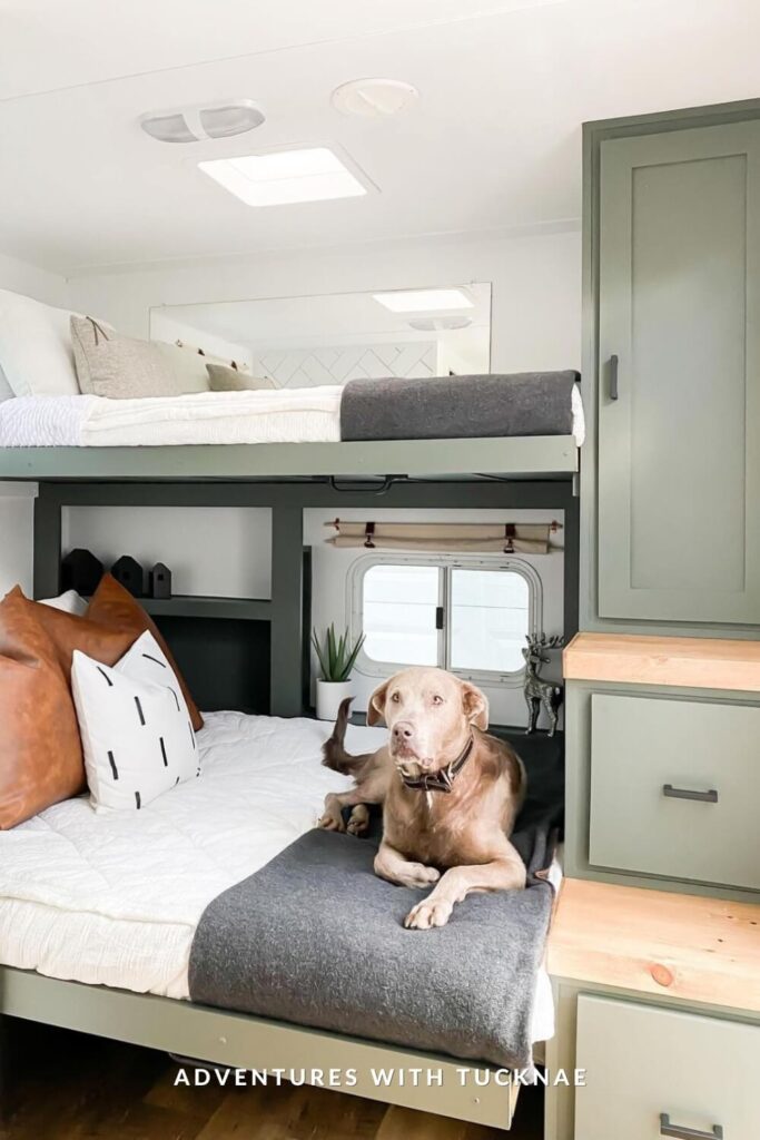 Modern RV bunkroom with olive green built-in bunks and cabinetry, featuring crisp white bedding, leather and graphic accent pillows, and a chocolate lab lounging on the lower bunk. A small window with a potted plant and deer figurine adds charm.