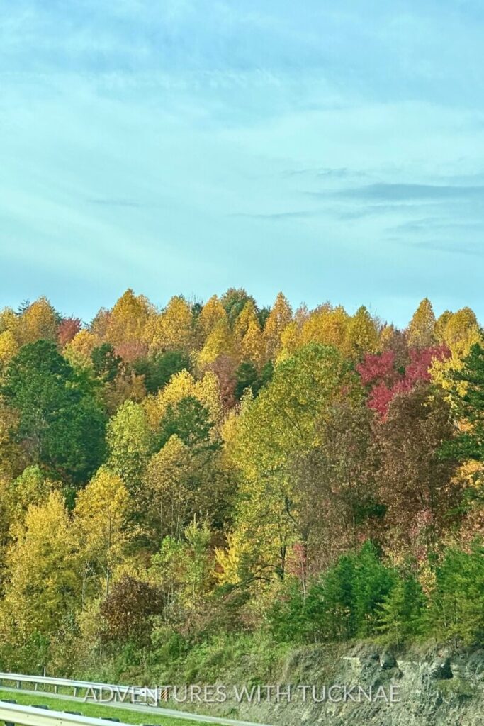 A roadside view along the Blue Ridge Parkway showcases a dense forest of trees in peak fall colors, ranging from green to gold and crimson. This drive is one of the most iconic fall RV destinations in the Eastern U.S.